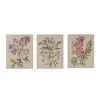 Linen Botanicals Illustration 3-piece Canvas Wall Art Set