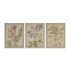 Linen Botanicals Illustration 3-piece Canvas Wall Art Set