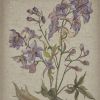 Linen Botanicals Illustration 3-piece Canvas Wall Art Set