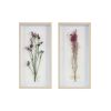 Avant Garden Dried Flower 2-piece Shadow Box Wall Decor Set